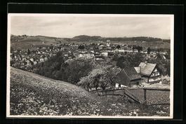 Heiden, Ortsansicht aus der Vogelschau