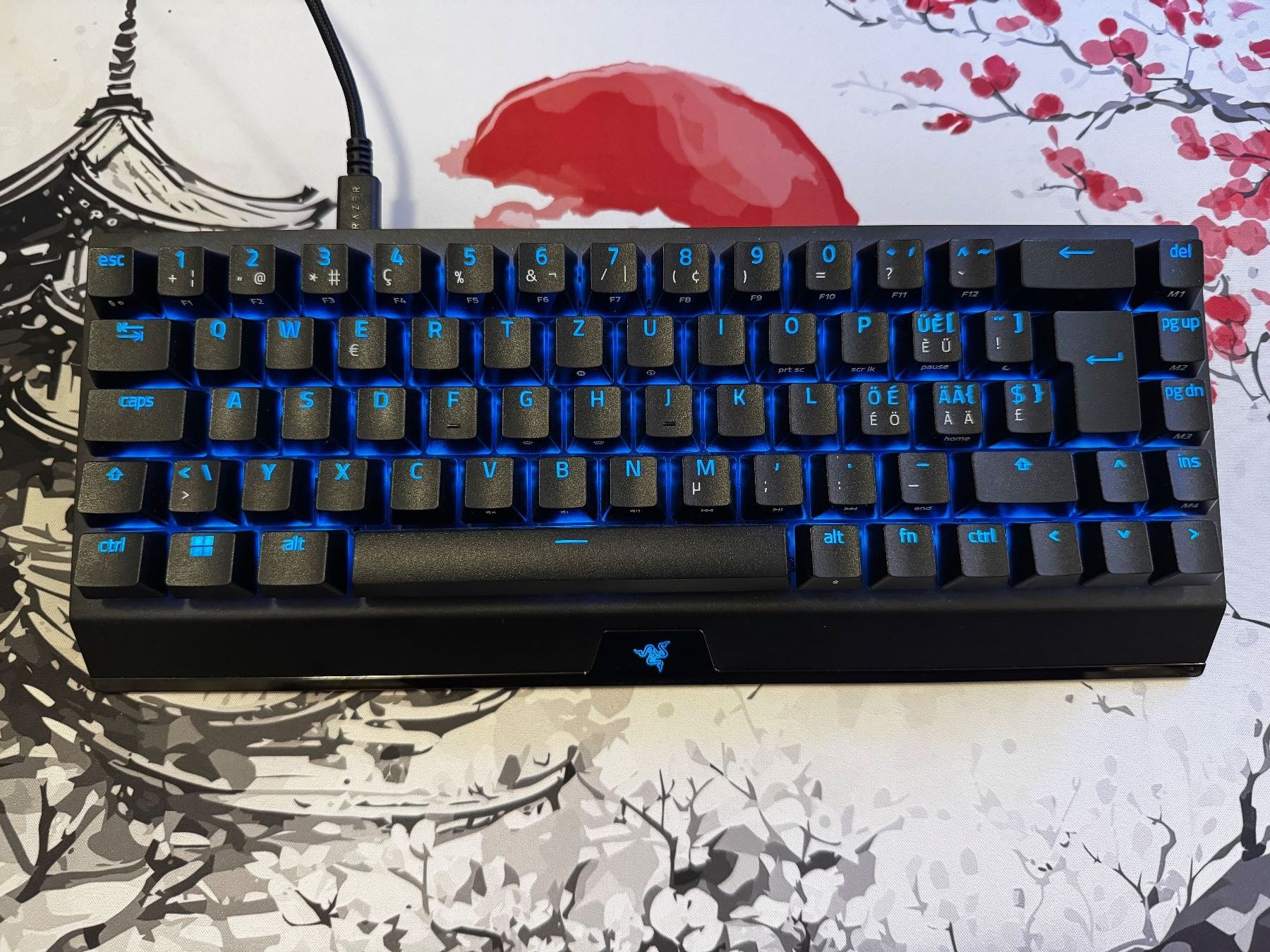 Razer Tastiere: Razer BlackWidow V3 Mini Hyperspeed - Neuwertig! – Usato da Zofingen venduto da POCKET-X 3