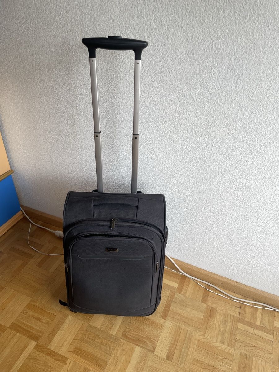 Altro in Aeronautica: Robuster Reisekoffer Uccelli Globus. – Usato da Basel venduto da Kamberly