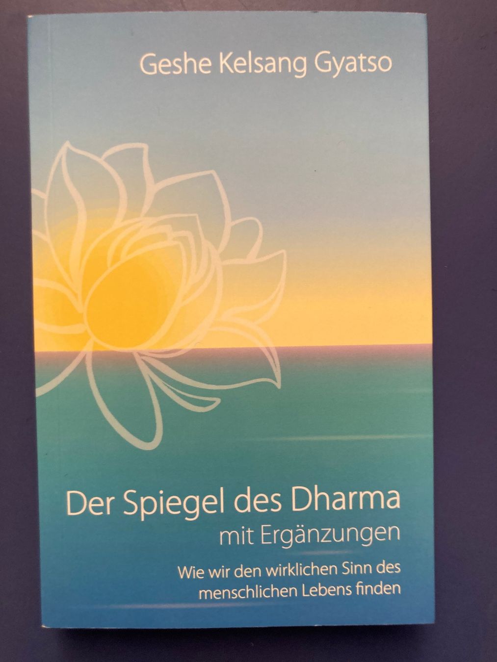 Libri: Der Spiegel des Dharma – Usato da Bern venduto da sabah62
