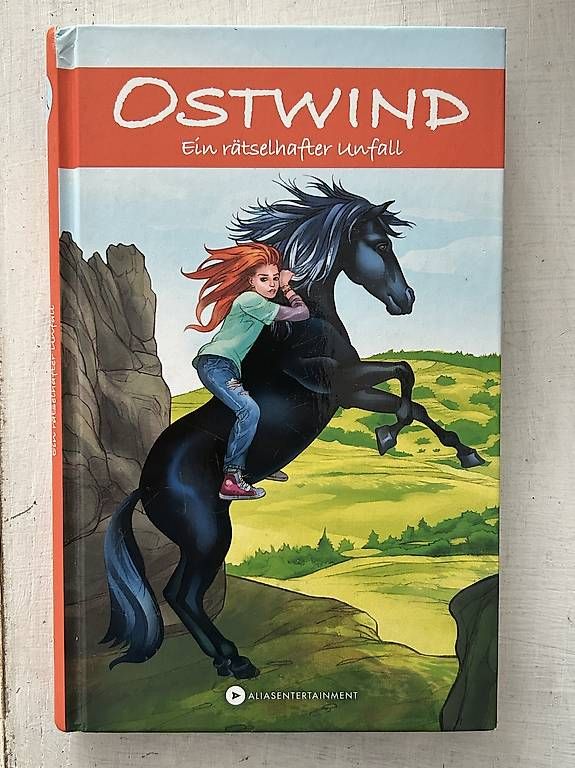 Livres: Ostwind - ein rätselhafter Unfall – D'occasion à Pratteln par silvermoon78