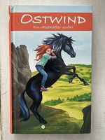 Ostwind - ein rätselhafter Unfall