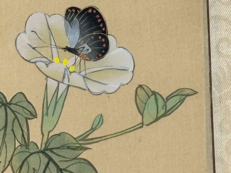 Dipinti: Chinesisches Aquarell Schmetterlinge – Usato da Grenchen venduto da swiss.antiques 1
