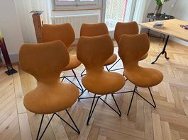 Esszimmerstuhl 6 Stück