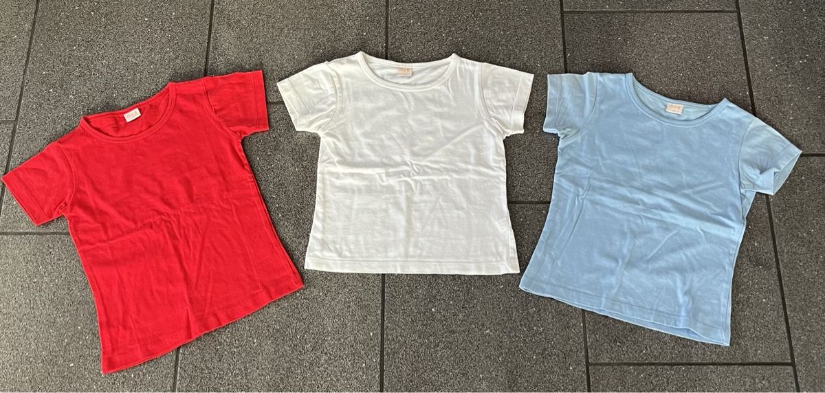 Camicie, T-shirt & Polo: 3 T-Shirts Gr. 110 – Nuovo (secondo la descrizione) da Hünenberg See venduto da spartakus02