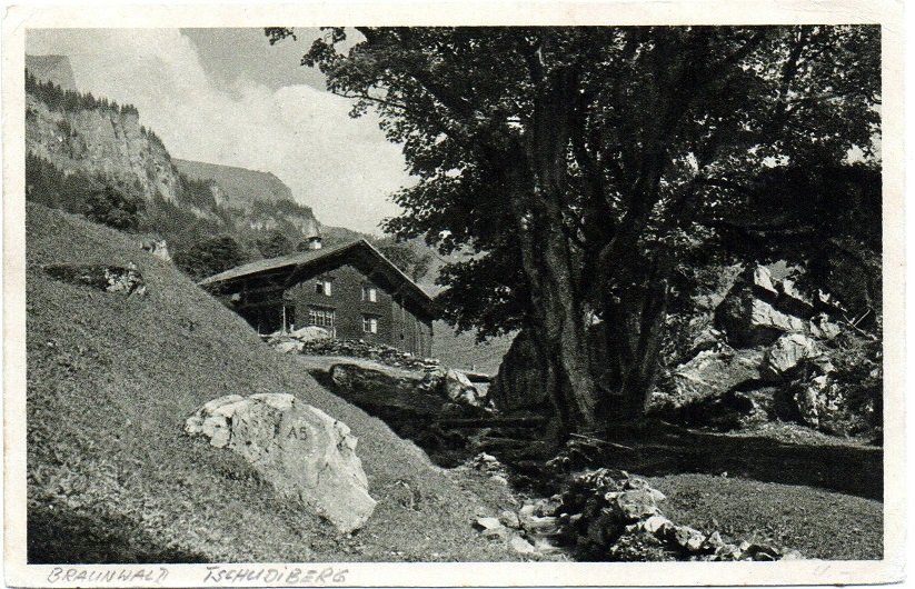 Cartes postales: BRAUNWALD Tschudiberg – D'occasion à Jona par philajona