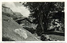 BRAUNWALD Tschudiberg