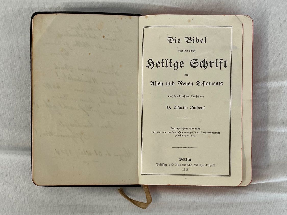 Libri: DIE BIBEL ODER HEILIGE SCHRIFT von Viktoria Knecht / 1916 – Usato da Islikon venduto da sav_m8xk 3