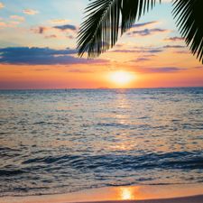 Profile image of sunset4992
