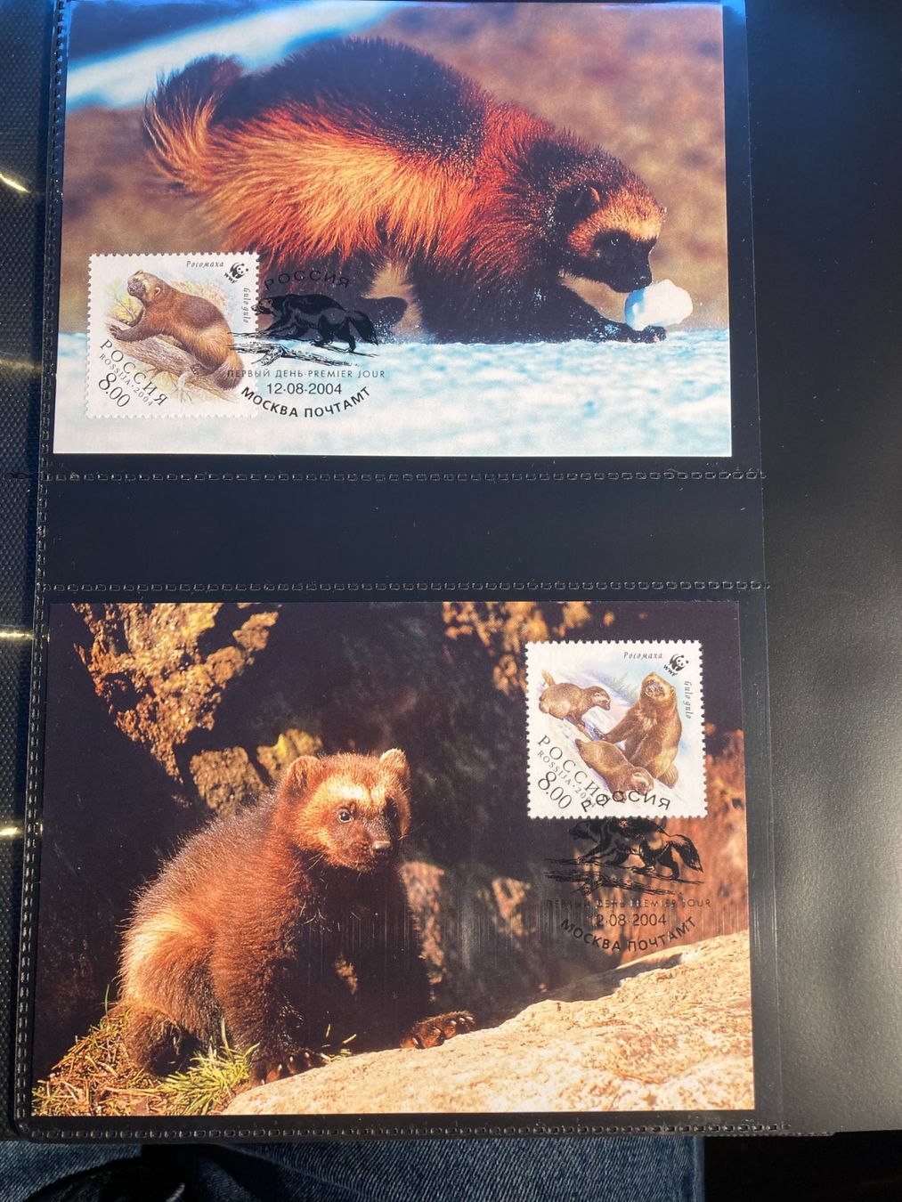Alle Briefmarken: Russland 2004 WWF Vielfrass Maximumkarten – Neu (gemäss Beschreibung) aus Liestal von schnueps 1