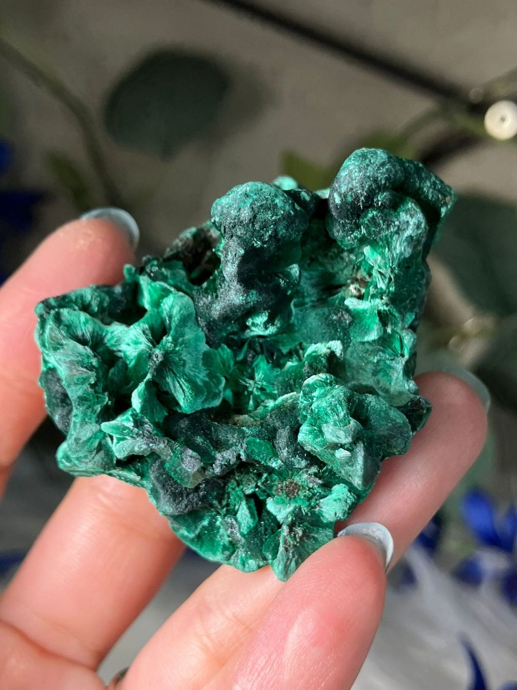 Minerali & Pietre curative: Malachit – Nuovo (secondo la descrizione) da Neuheim venduto da m.hald