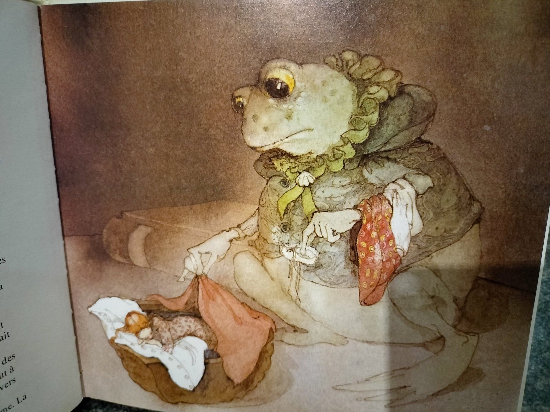 Bücher: POUCETTE un conte d'Andersen illustré par Lisbeth Zwerger – Gebraucht aus Cortaillod von  4