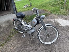 Mofa Sachs