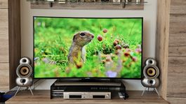Samsung Smart TV 55 Zoll Curved 4K UHD