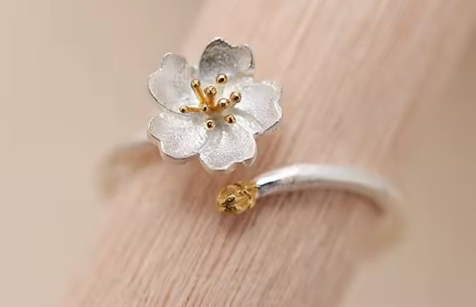 Anelli: Ring Verstellbar – Nuovo e nell'imballaggio originale da Eschenbach SG venduto da ...- 1