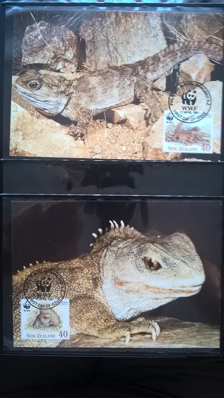 Alle Briefmarken: WWF Neuseeland 1991 Brückenechse Satz Maximumkarten – Neu (gemäss Beschreibung) aus Winterthur von schnueps 1