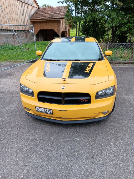 Dodge Automobili: Dodge Charger 4 D R/T  5.7L 8 Z.Hemi Day Tona Top Banana  – Usato da Büsserach venduto da Schrotti19548 5
