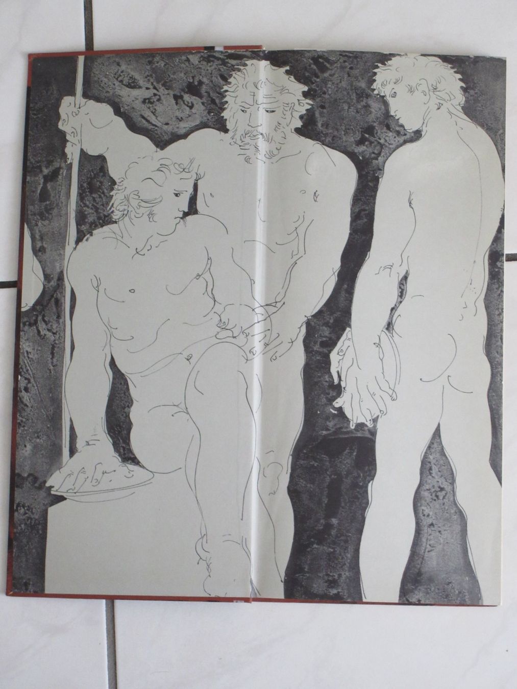Libri: Hans Erni Buch "MILON" – Usato da Weinfelden venduto da Kunst2010 1