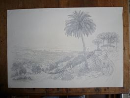 MESSINE   GRAND DESSIN