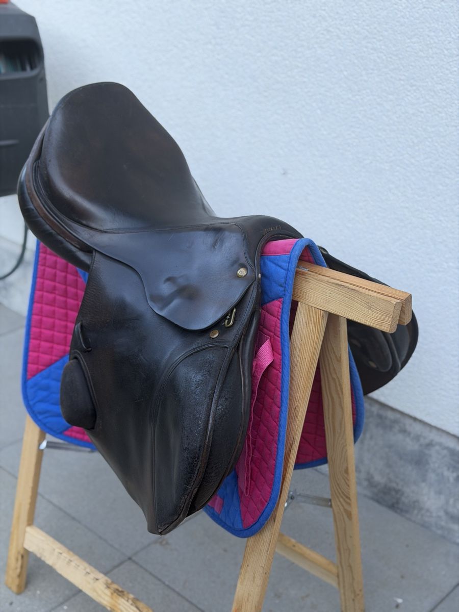 Selle & Accessori: Sattel Spring  – Usato da Bioggio venduto da Sillacampora- 1