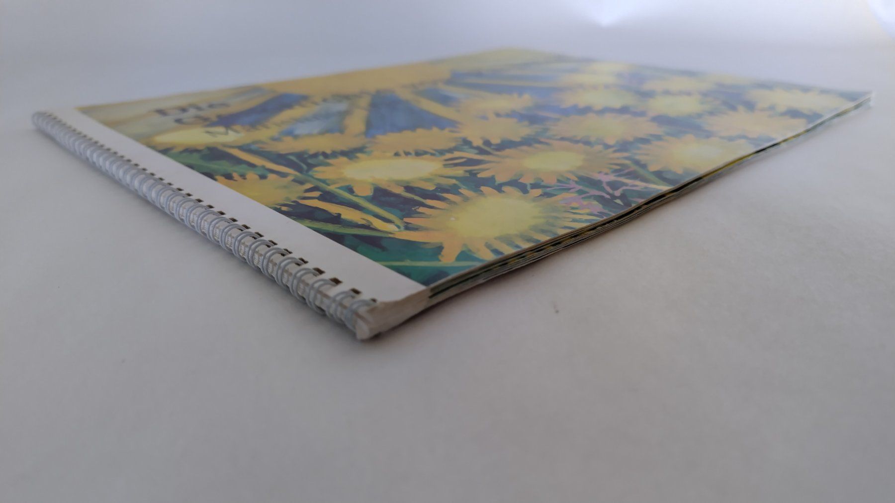 Libri: Die Geschichte vom Paradies / Bilderbuch 1972 Spralbindung – Usato da Bellach venduto da JingleJerry 1