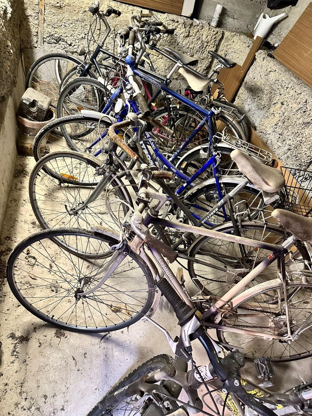 Biciclette: Alte Fahrräder – Usato da Spreitenbach venduto da Space_X