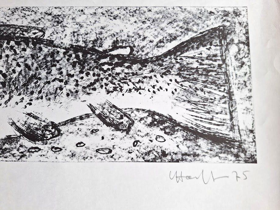 Grafiken & Lithographien: Fisch, Lithografie von L Häfliger 75 – Gebraucht aus Alpnach Dorf von MZ001 1