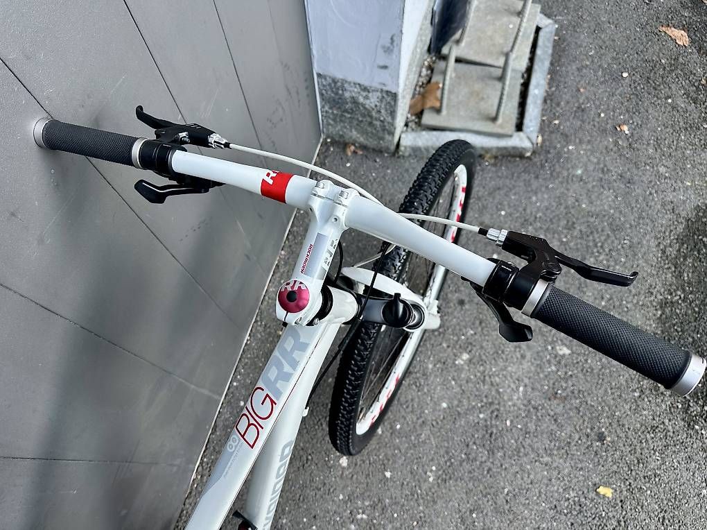 Velos: Bicicletta MTB RockRider BIG RR 29 SCONTO FINO 25.07.2026 – Gebraucht aus Quartino von DiloUsato 5