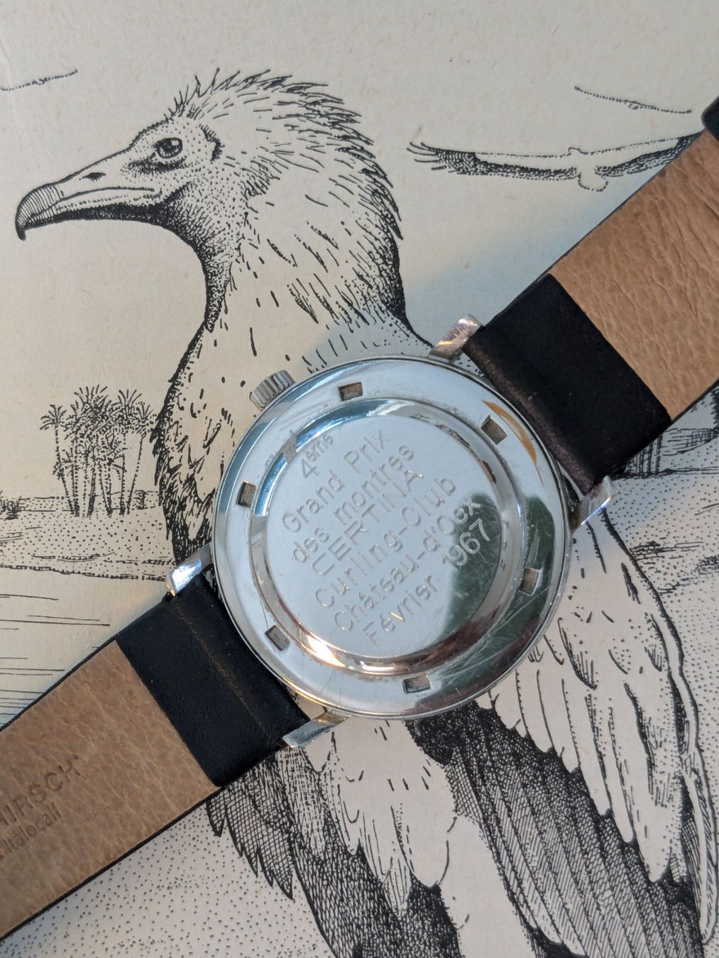 Certina Montres: Beautiful Certina Blue Ribbon - Automatic Vintage Watch – D'occasion à La Tour-de-Peilz par bird.watches 3