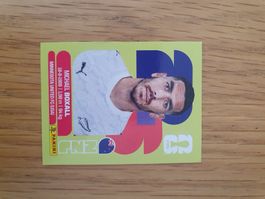 Panini NZL 4