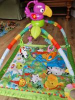 Fisher-Price Rainforest Spielbogen DFP08 Musik & Licht