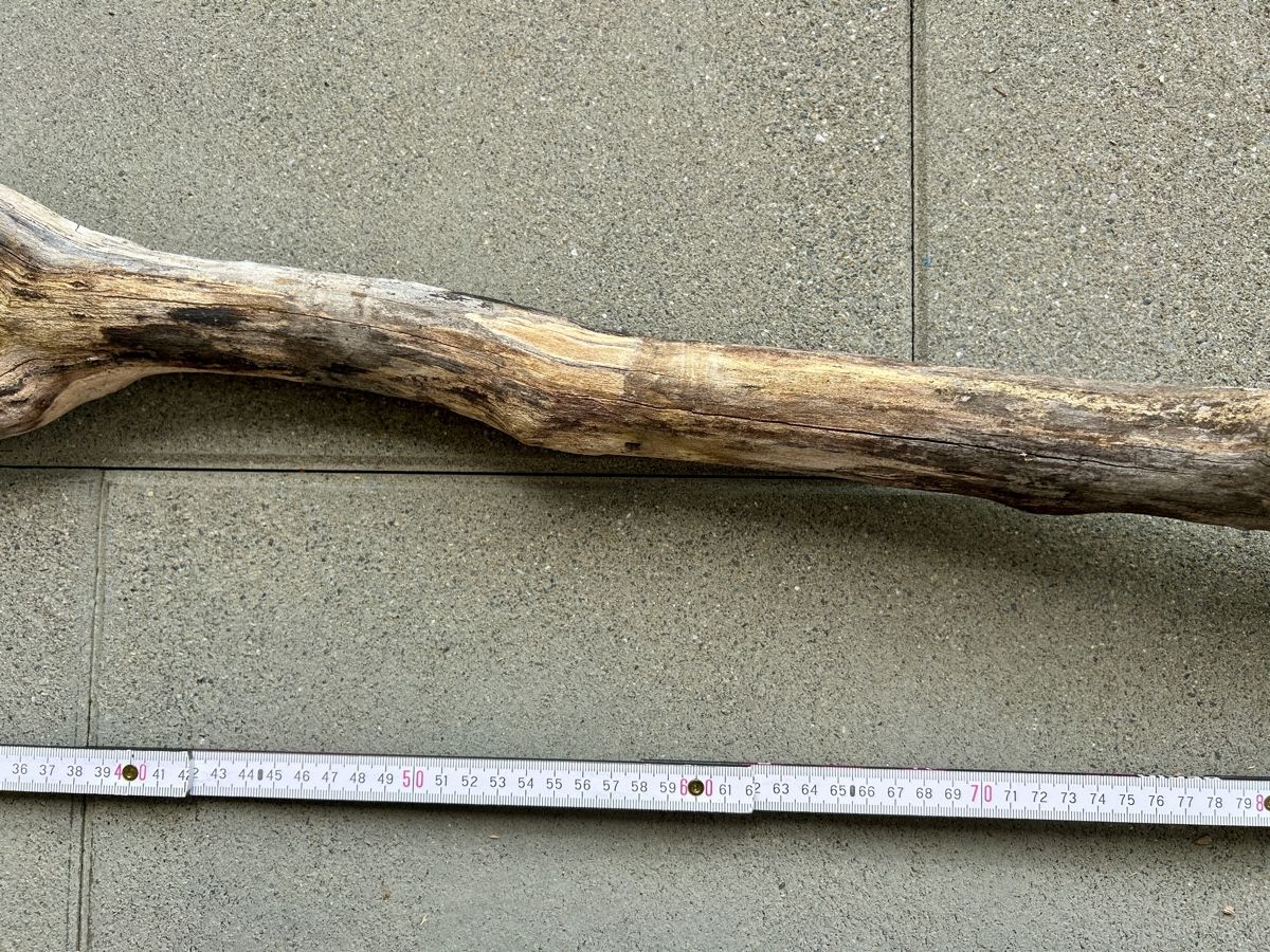 Articoli in legno: Schwemmholz Ast 102 cm lang – Nuovo (secondo la descrizione) da St. Urban venduto da uschi73 5