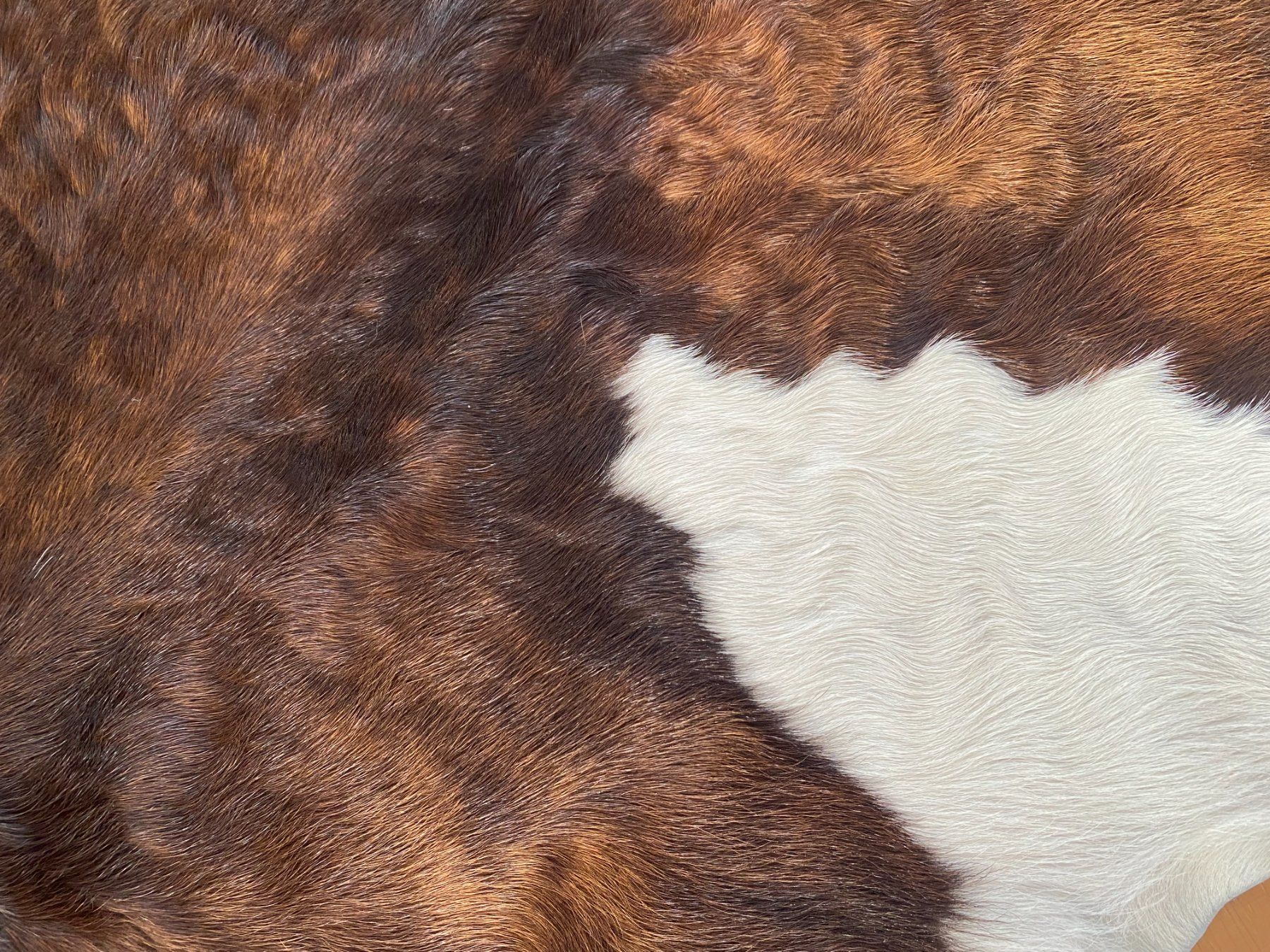 Tapis: Fellteppich - Kalb – D'occasion à Unterterzen par bac_287t 3