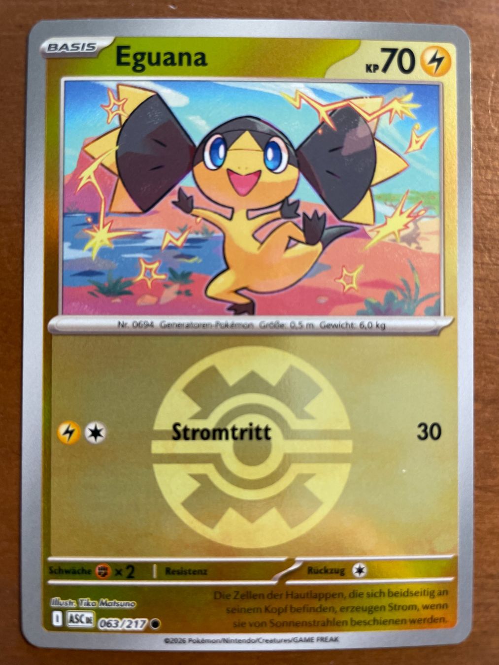 Pokémon Carte collezionabili: Pokemon Eguana Reverse (Versand gratis) – Nuovo (secondo la descrizione) da Chur venduto da Angerson