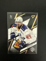 Sportzoo playoff Tobias Geisser EVZ 03/10