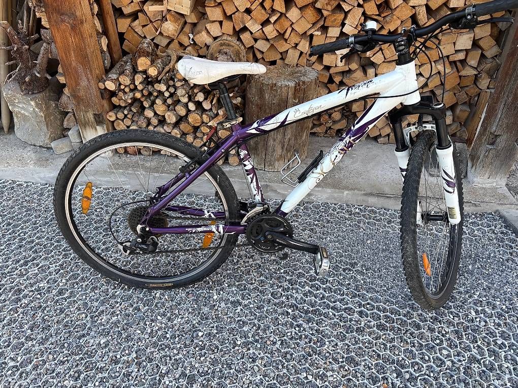 Velos: Mountainbike Scott – Gebraucht aus Seewis Dorf von Michi1270 2