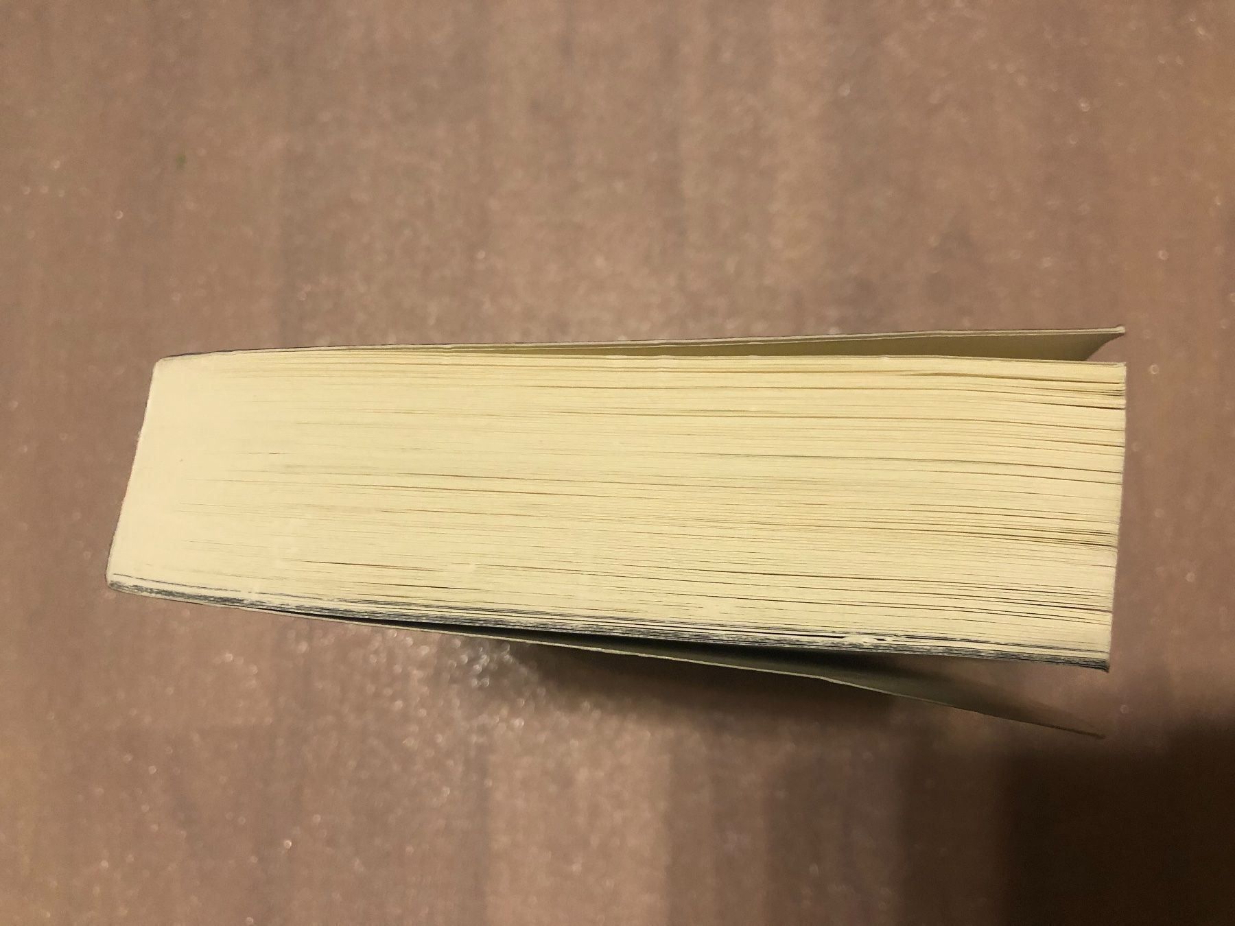 Libri: Warrior Cats, Erin Hunter – Usato da Strengelbach venduto da 300870 1