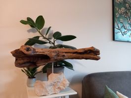 Krokodilenkopf aus Holz auf Stein