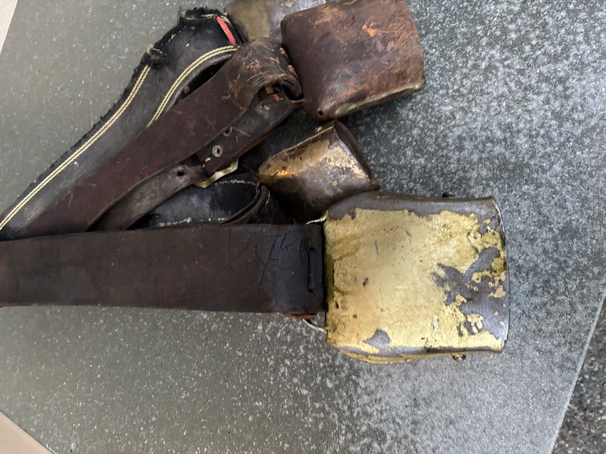 Campanacci mucche: 4 Bissen. – Usato da Schangnau venduto da Roseggli82 8
