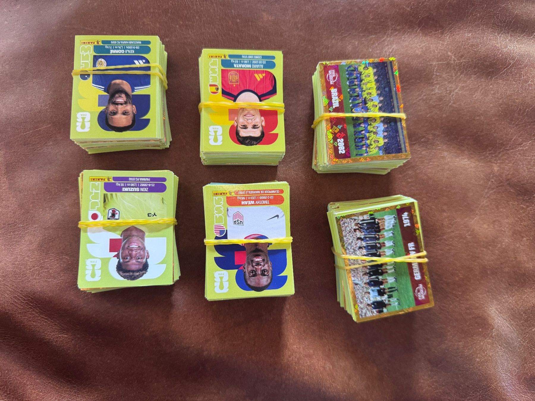 Panini Carte collezionabili: Panini FIFA World Cup 2026 Sticker – Usato da Fällanden venduto da Seashellsshesells
