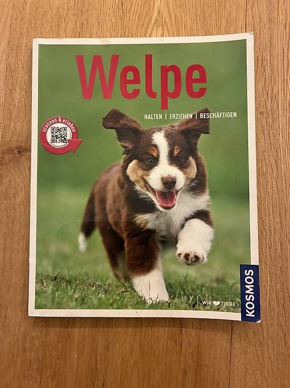 Livres: Ratgeber Welpen – D'occasion à Schmiedrued par Giorda