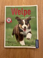 Ratgeber Welpen