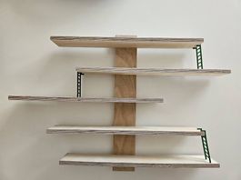 LUSTIGT Wandregal von IKEA
