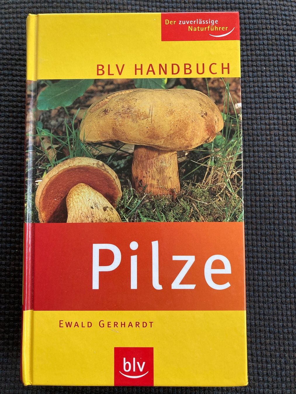 Bücher: BLV Handbuch Pilze,  638 Seiten – Gebraucht aus Baden von Yoyo1