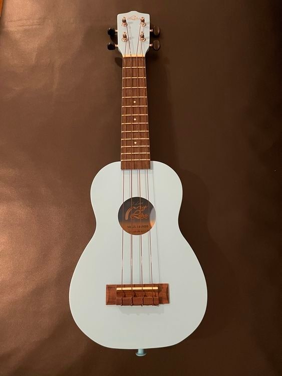 Strumenti musicali: blaue Ukulele mit Tasche – Usato da Nürensdorf venduto da Nat_1919 1