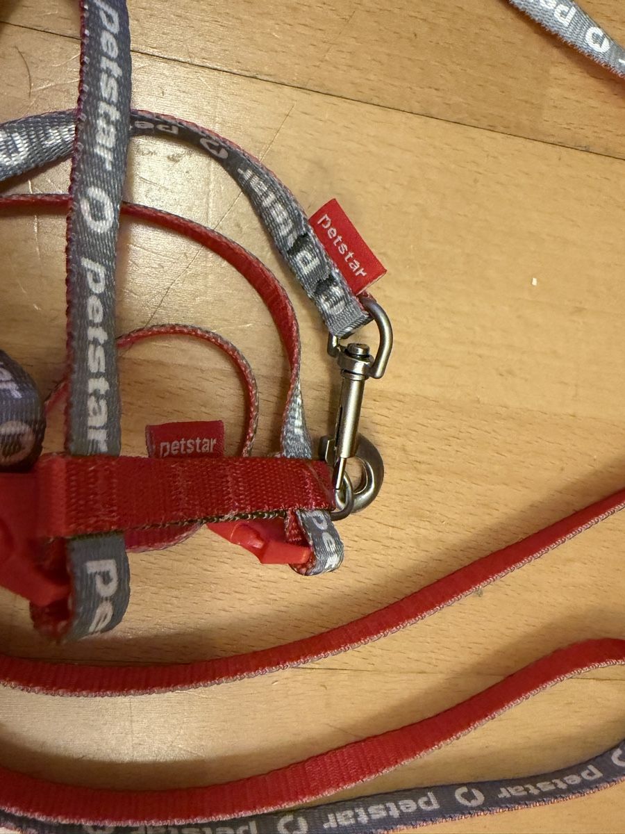 Guinzagli & Collari: Katzengeschirr pet leash like new – Usato da Zürich venduto da arr_vq5w 2