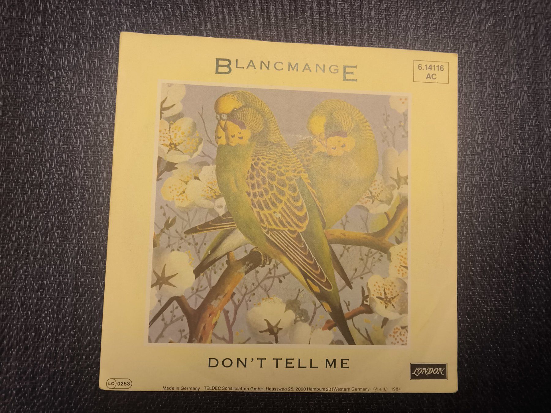 Dischi in vinile: VINYL Single: Blancmange - Don't Tell me – Usato da Allschwil venduto da marketingprojects