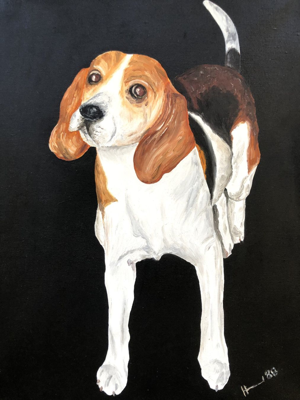 Dipinti: Beagle - Ölgemälde auf Leinwand - Original Kunstwerk – Usato da Schaffhausen venduto da durruti 1