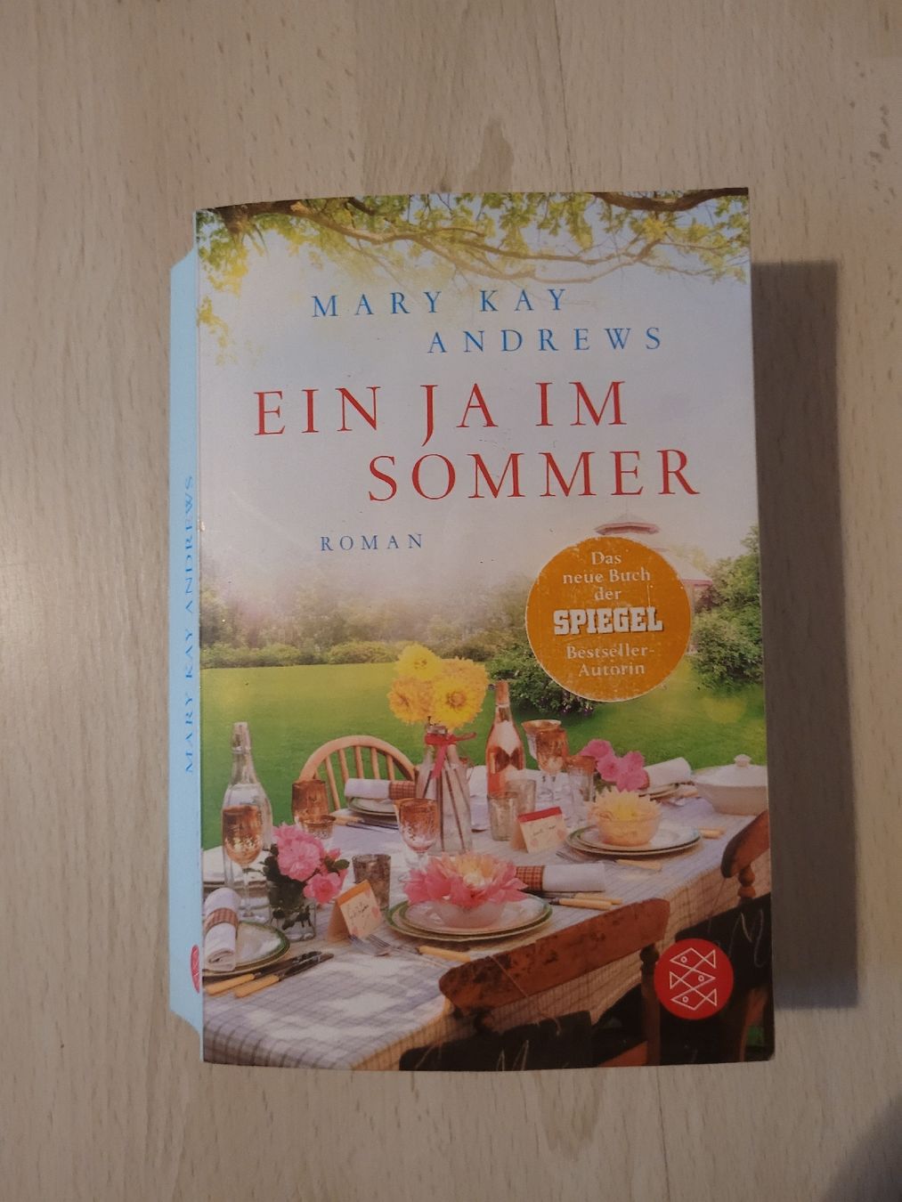 Libri: ein Ja im Sommer – Usato da Perlen venduto da Safari_23
