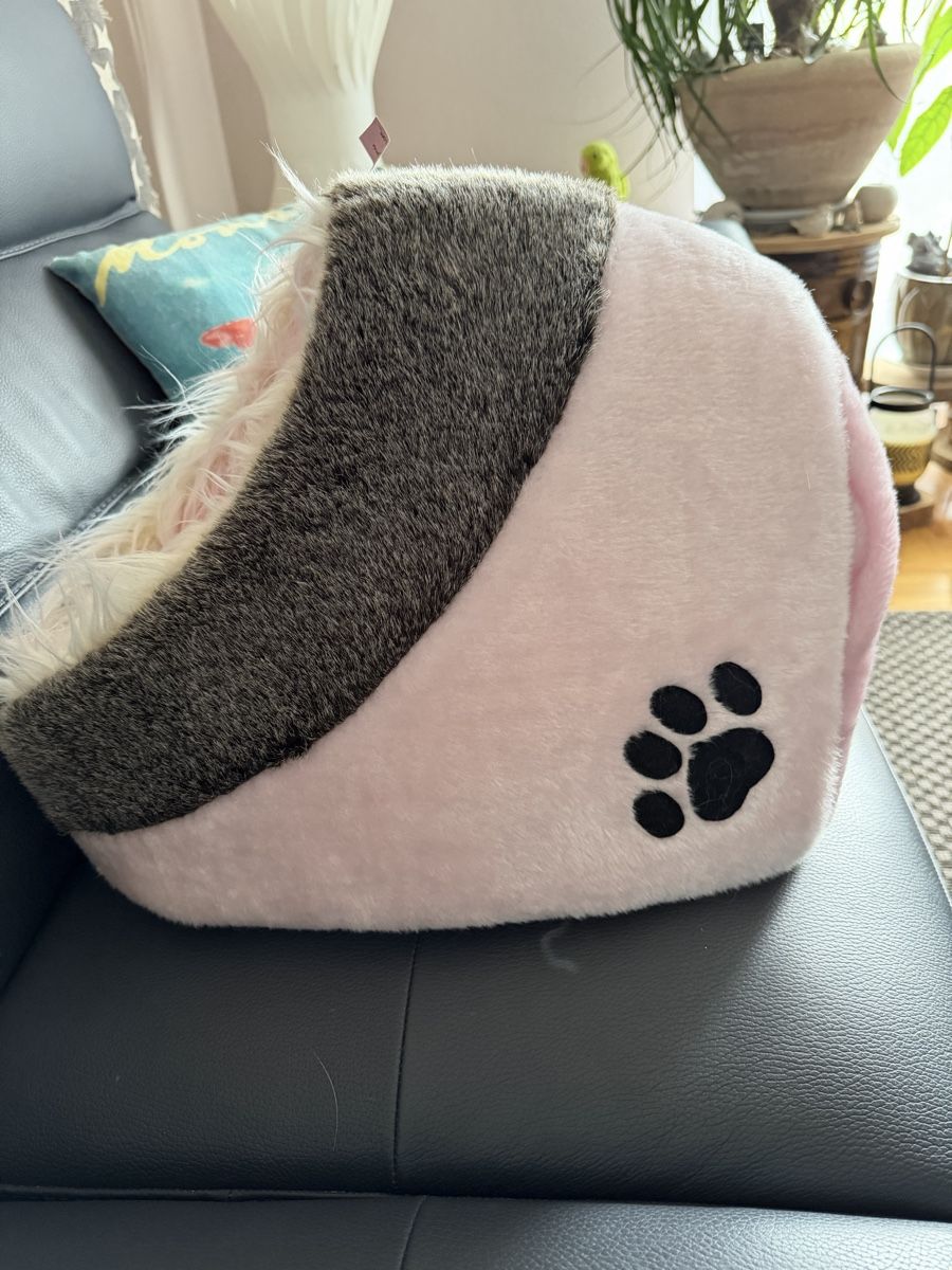 Cucce & Letti: Panier pour chat peu utilisé – Nuovo (secondo la descrizione) da Dombresson venduto da feline_ne 1